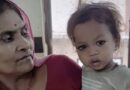 बिहार में अजब हादसा: मासूम ने खेल-खेल में कोबरा को काटा, सांप की मौत – बच्चा सुरक्षित