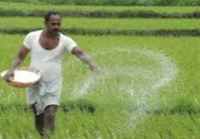 छिंदवाड़ा खाद वितरण की नई व्यवस्था: ‘पटवारी सत्यापित ऋण पुस्तिका’ होगी जरूरी  : पीओएस मशीन से ही होगी बिक्री छिंदवाड़ा खाद वितरण की नई व्यवस्था: ‘पटवारी सत्यापित ऋण पुस्तिका’ होगी जरूरी  : पीओएस मशीन से ही होगी बिक्री