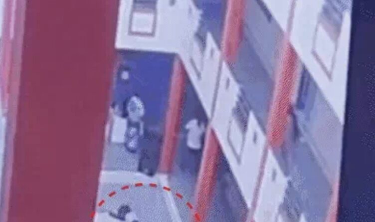 सस्पेंड करने की धमकी से दहशत: रतलाम में 8वीं के छात्र ने तीसरी मंजिल से लगाई छलांग, मोबाइल पर रील बनाने का था मामला सस्पेंड करने की धमकी से दहशत: रतलाम में 8वीं के छात्र ने तीसरी मंजिल से लगाई छलांग, मोबाइल पर रील बनाने का था मामला