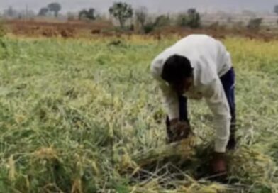 छिंदवाड़ा: अतिवृष्टि से फसल नुकसान पर किसानों के लिए जरूरी खबर, 72 घंटे के भीतर ऐसे करें क्लेम छिंदवाड़ा: अतिवृष्टि से फसल नुकसान पर किसानों के लिए जरूरी खबर, 72 घंटे के भीतर ऐसे करें क्लेम